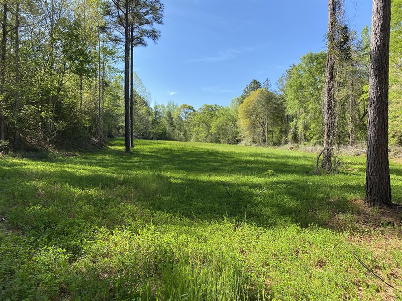 Hunting / Recreational Track : Billingsley : Autauga County : Alabama