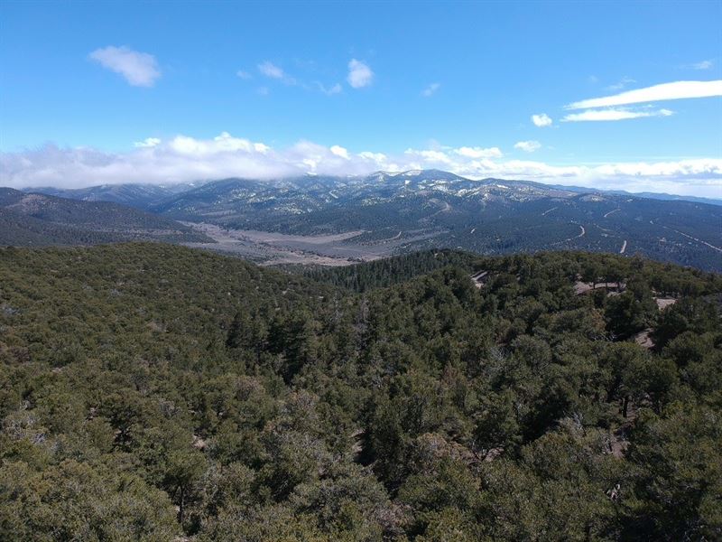 Be King of The Mountain in Colorado : Fort Garland : Costilla County : Colorado