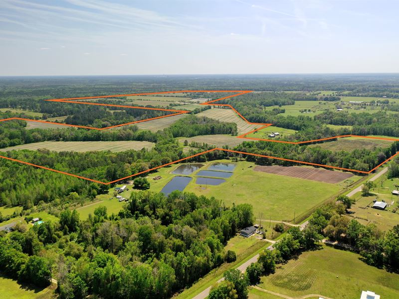 Alachua Farmlife : Alachua : Alachua County : Florida