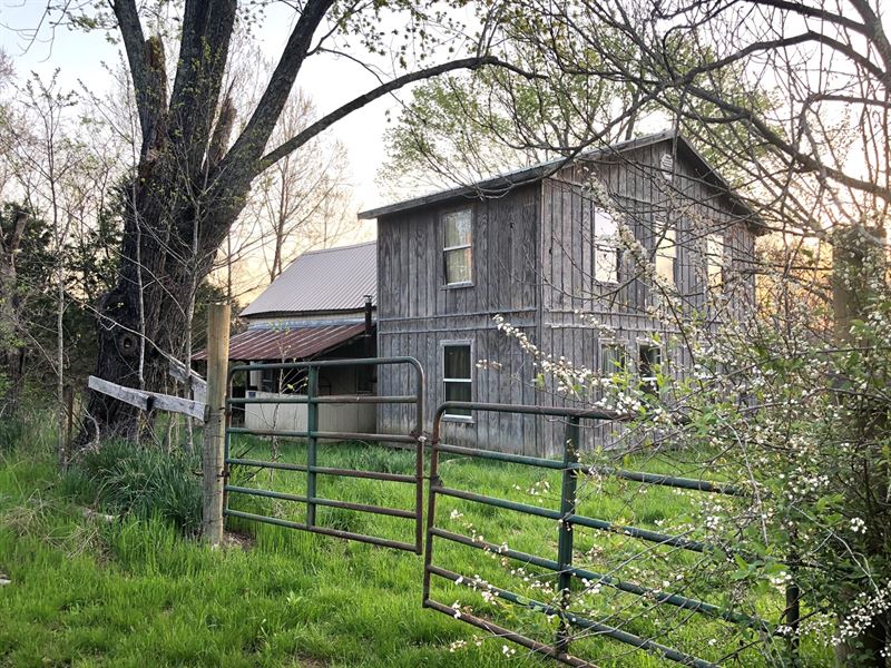 Hunting Land for Sale with Cabin : Pocahontas : Randolph County : Arkansas