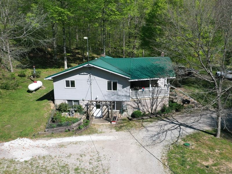 Farm Tn. 3 Homes, Shops, Springs : Olivehill : Hardin County : Tennessee