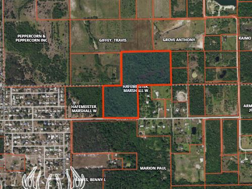 Brevard County Florida Farms for Sale