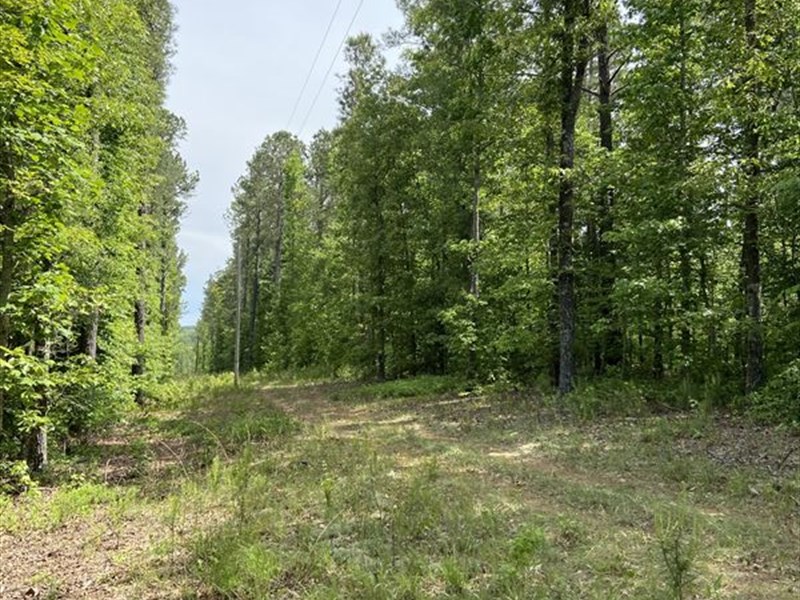 Thaxton Southwest Tract, Farm for Sale in 276001 FARMFLIP