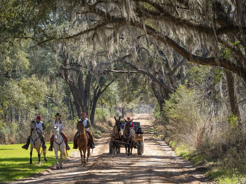 Cane Mill Plantation, Farm for Sale in 276017 FARMFLIP