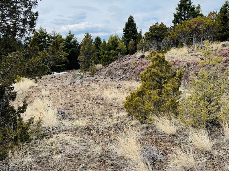 Montana Acreage, Mountain Property, Farm for Sale in Montana, 276091