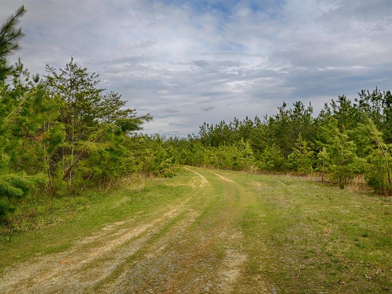 Plain Dealing, Farm for Sale in Virginia, 276262 FARMFLIP