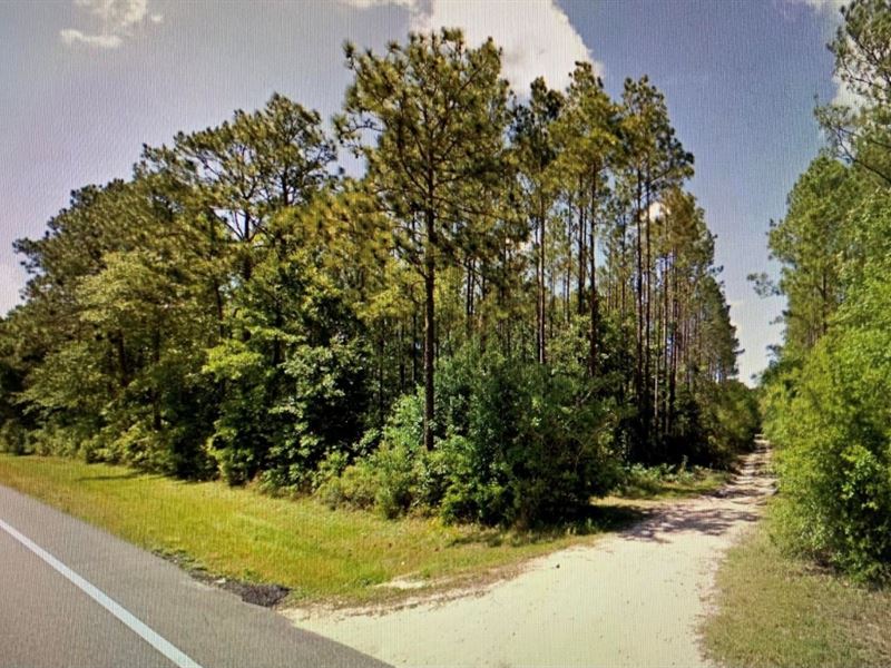 Vacant Land, Farm for Sale in Florida, 276357 FARMFLIP