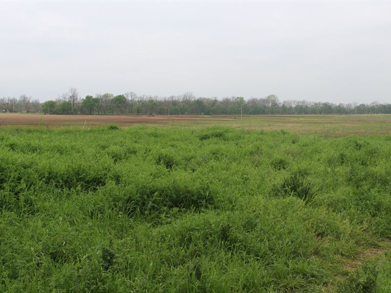 Recreational Land Idabel Oklahoma, Farm for Sale in Oklahoma, 276569