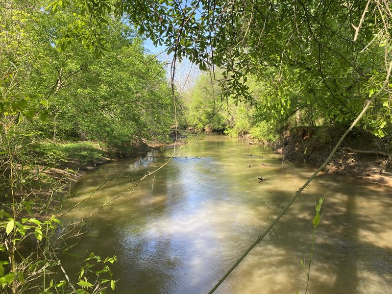 Rural Tract on Big Lazer Creek : Talbotton : Talbot County : Georgia