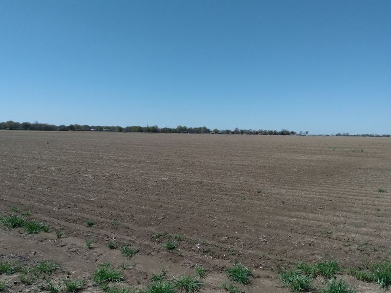 120 Acres in Sunflower County In : Indianola : Sunflower County : Mississippi