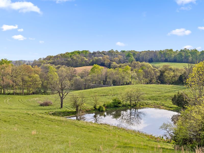 Stunning Pastoral Acreage, Pond, Farm for Sale in Tennessee, 276692