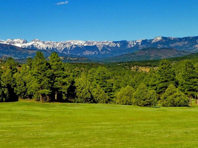 Taylor Canyon Ranch : Pagosa Springs : Archuleta County : Colorado