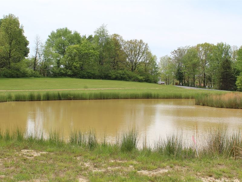 Building Track in Bon Aqua, TN, Farm for Sale in Tennessee, 276830