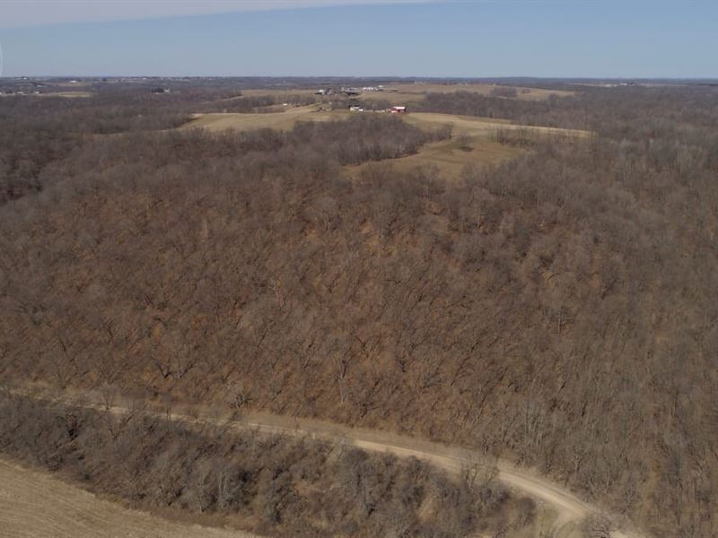 Hunting Land in Boscobel, WI, Farm for Sale in Wisconsin, 276880