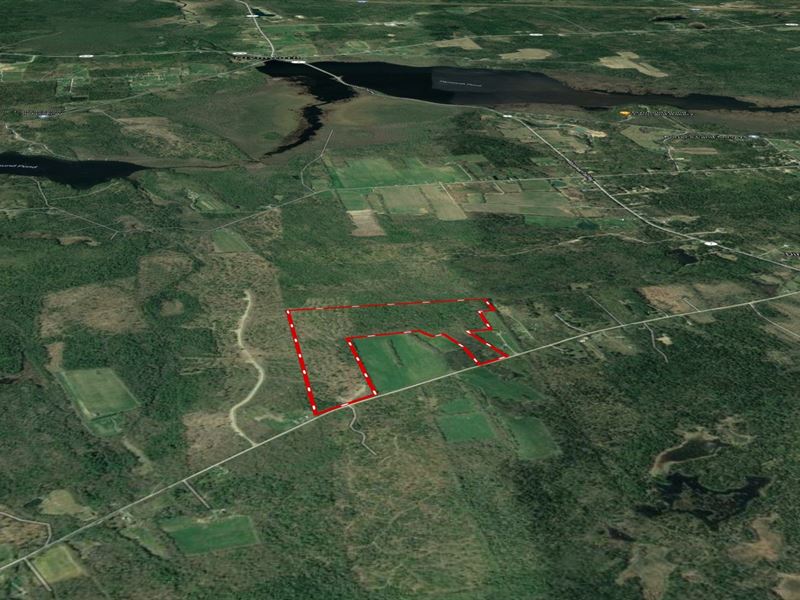 Central Maine Land for Sale : Dixmont : Penobscot County : Maine