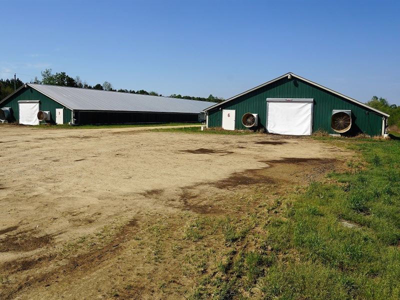 Poultry Farm in Fairmont, NC, Farm for Sale in North Carolina, 277122