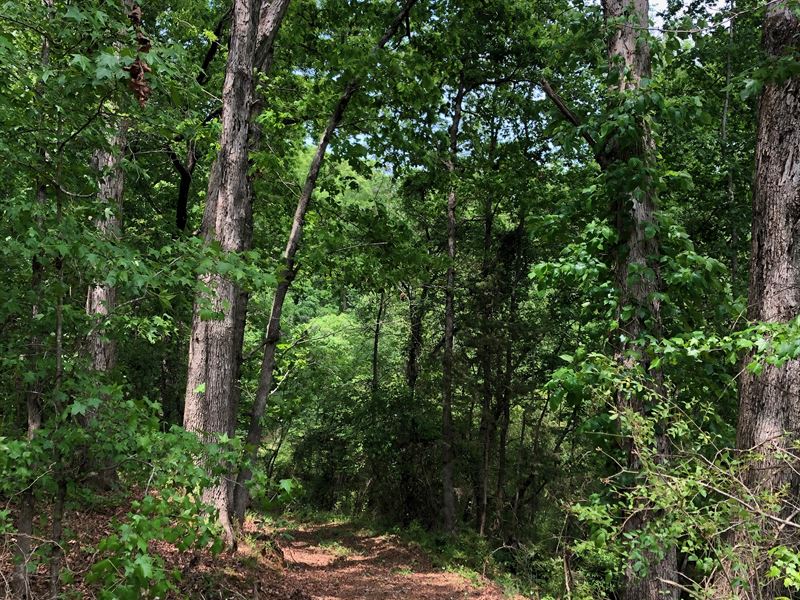 Norton Road in Watkinsville : Watkinsville : Oconee County : Georgia