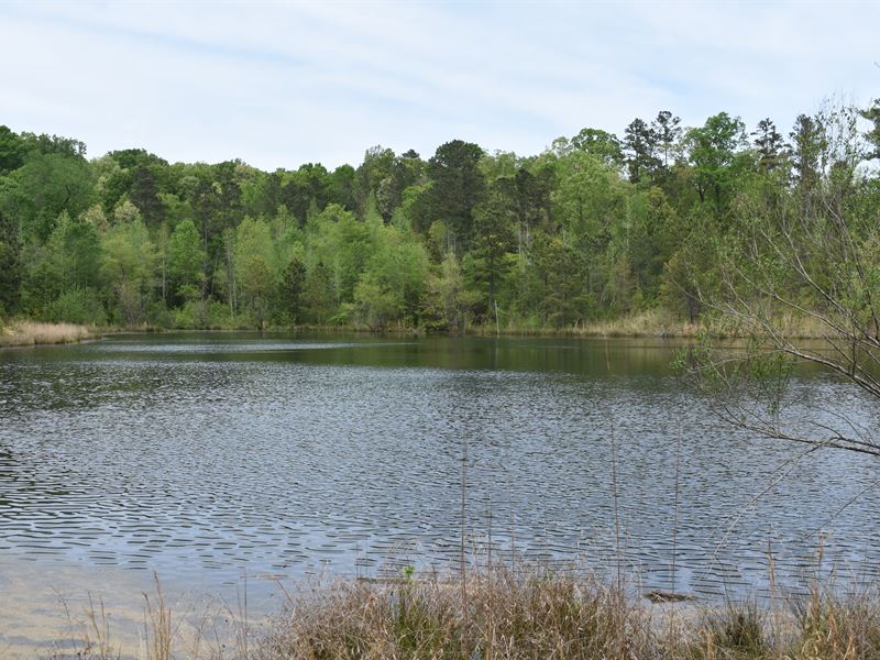 Timber Tract with Pond : Madison : Morgan County : Georgia