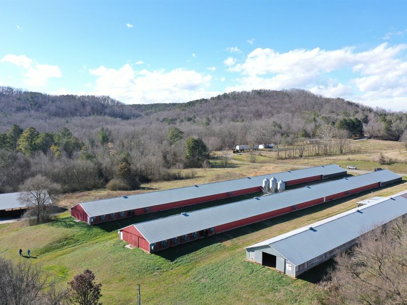 Swafford Farm : Old Fort : Polk County : Tennessee