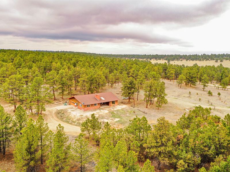 40 Acres in Kiowa, Colorado, Farm for Sale in Colorado, 277326 FARMFLIP