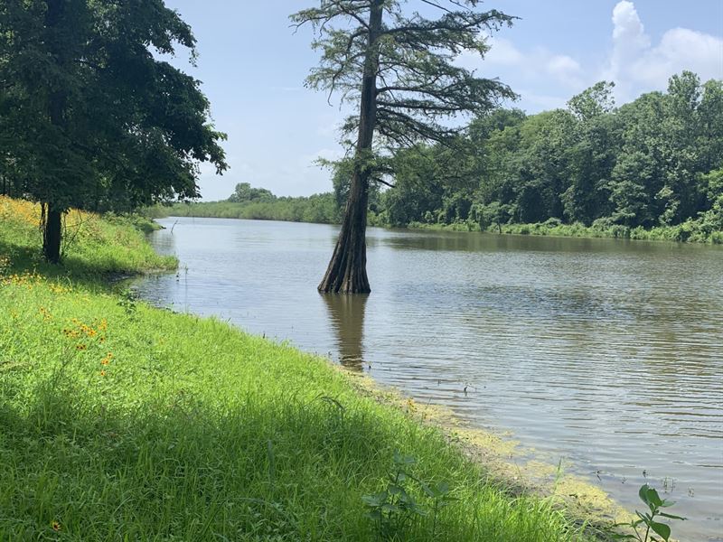 Moon Lake Farms, Farm for Sale in Mississippi, 277334 FARMFLIP