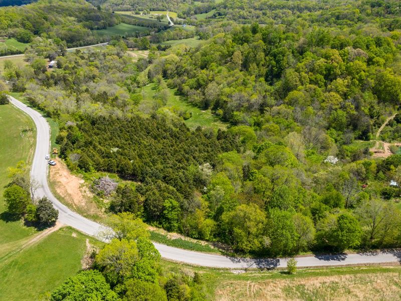 Land Acreage Culleoka, Tennessee, Farm for Sale in Tennessee, 277375