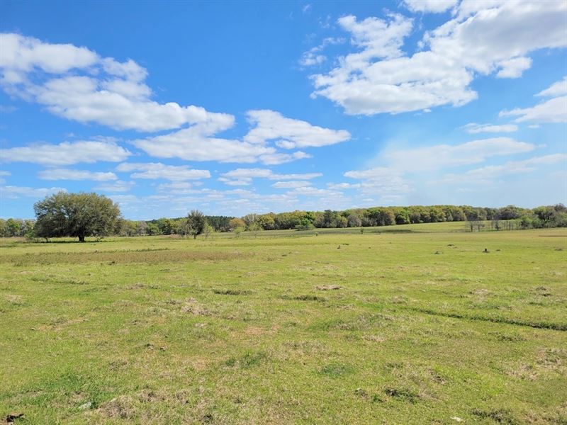 Hammock Land North and South, Farm for Sale in Florida, 277501 FARMFLIP