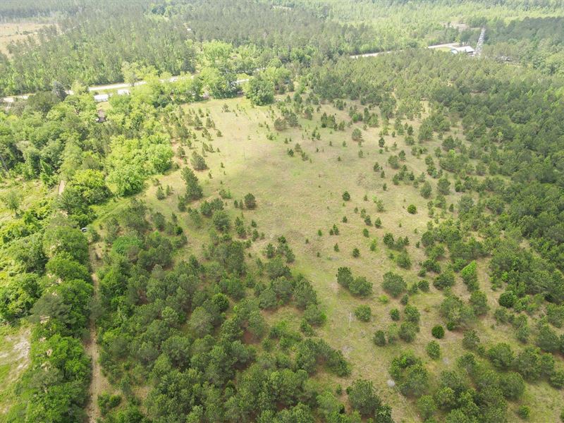 Greenhouse Homeplace : Metter : Candler County : Georgia