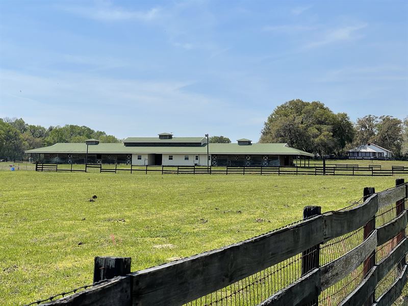 Private 160 +/ Acres, Equestrian, Farm for Sale in Florida, 277526