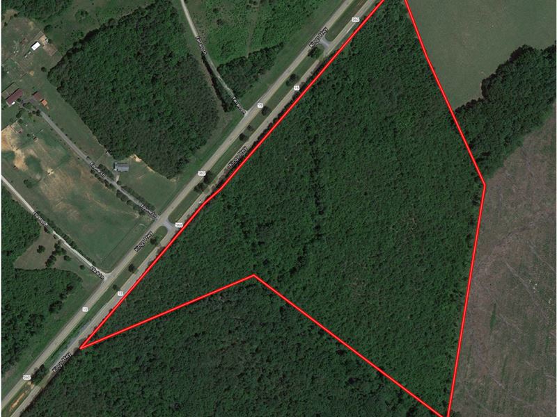 Virginia Timberland Auction Kerr, Farm Auction in Virginia, 277887