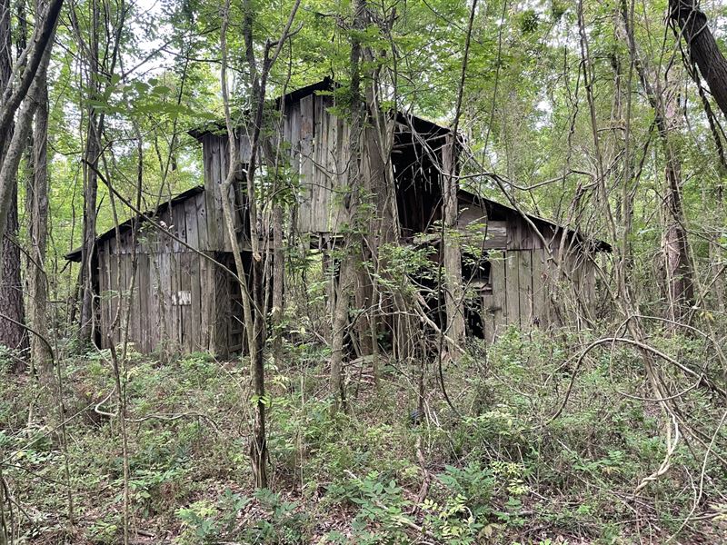 11 Acres New Site, Farm for Sale in Alabama, 277930 FARMFLIP