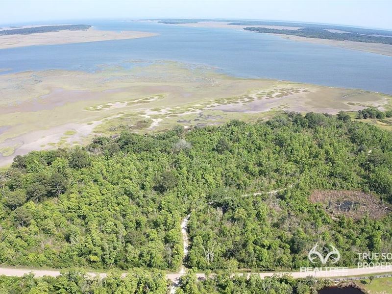Coosaw/Judge Island River, Farm for Sale in South Carolina