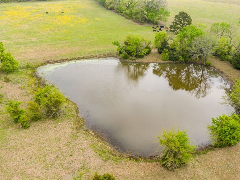 Pasture & Hunting Land Frankston TX Farm for Sale in Frankston