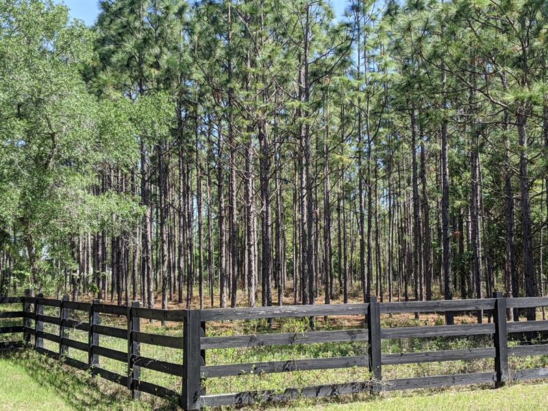 5 Beautifully Wooded Acres Newberry Farm for Sale in Newberry