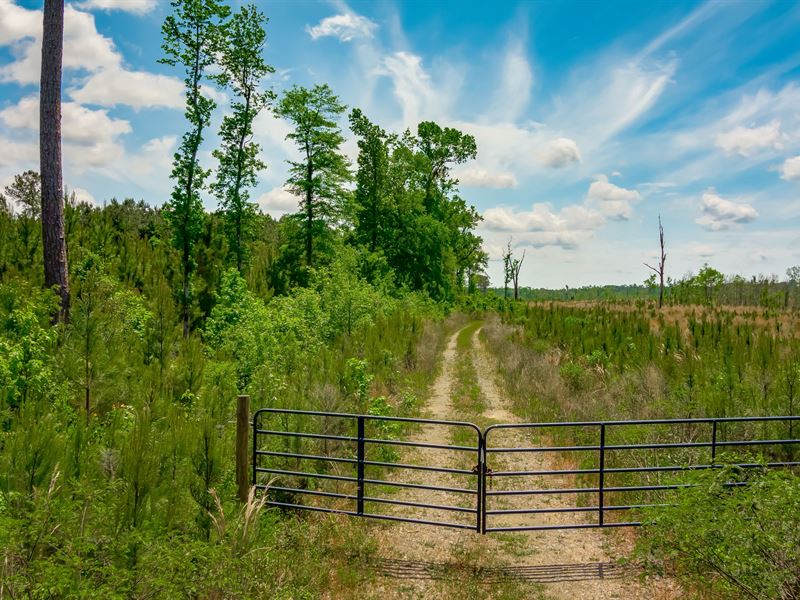 Hendricks Cut Through Rd Tract 4 : Conway : Horry County : South Carolina