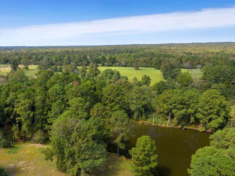 5 Acres for Sale in Leon County : Concord : Leon County : Texas