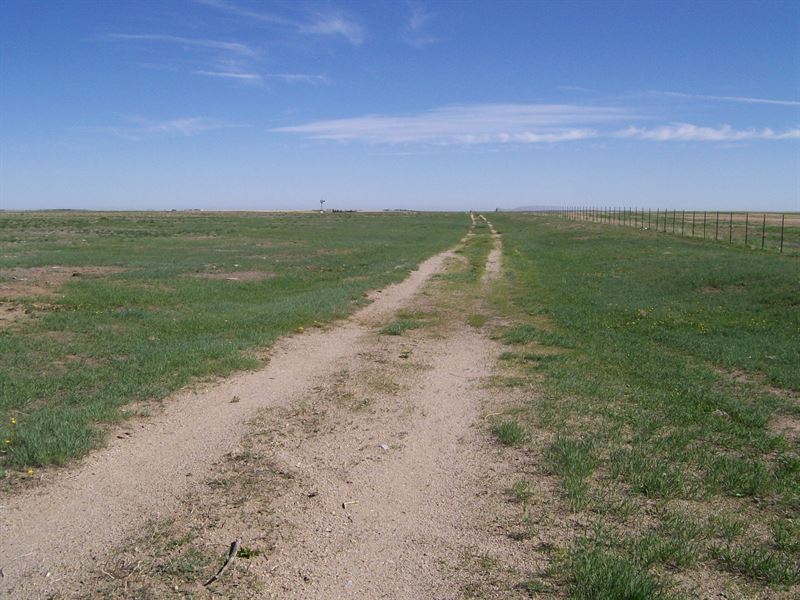 Arapahoe County Range Land : Peoria : Arapahoe County : Colorado