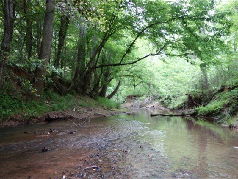 Acreage on Little Cedar Creek, Farm for Sale in South Carolina, 278967