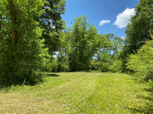 Georgia Quail Farms for Sale : FARMFLIP