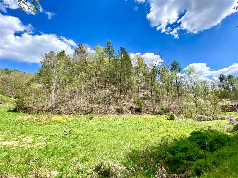 Unrestricted Mountain Land, Farm for Sale by Owner in Tennessee, 279002 FARMFLIP