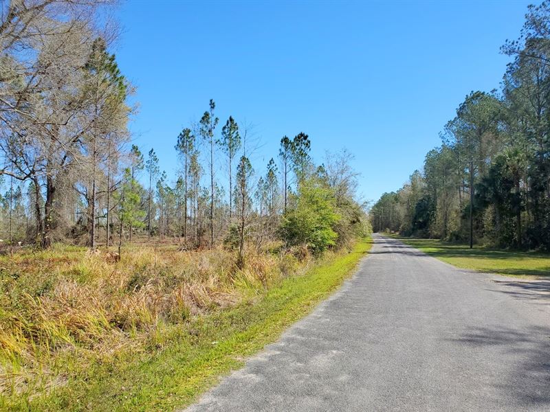 Gores Landing Ranches Lots 4 & 5, Farm for Sale in Florida, 279424