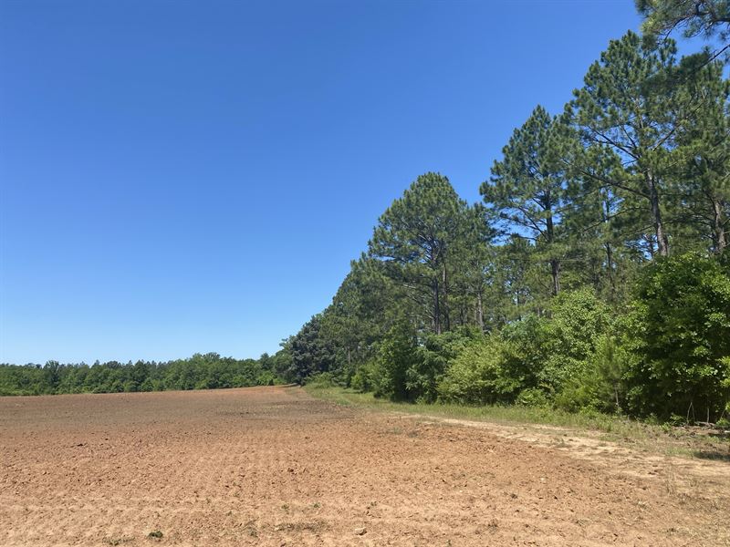 Rare Rural Terrell County Tract, Farm for Sale in 279454