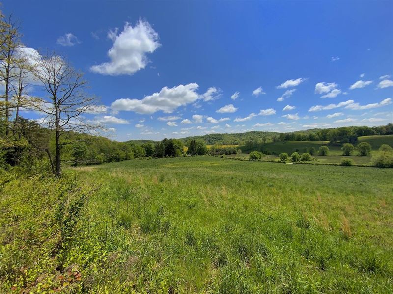 Cadmus Rd, 38 Acres, Gallia Count, Farm for Sale in Ohio, 279518