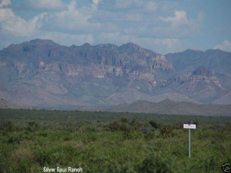20 Acres, Surveyed, 0 Down, $135 Mo : West Texas : Hudspeth County : Texas