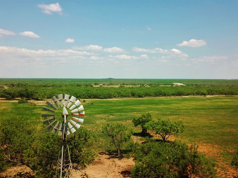High Fenced 100 Acre Hunting, Farm for Sale in Texas, 279793 FARMFLIP