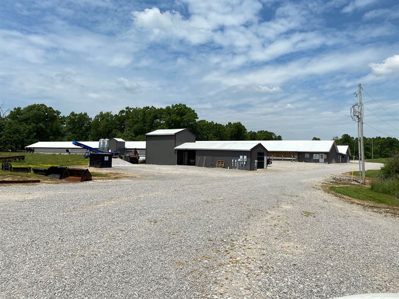 Breeder Poultry Farm McCreary, Farm for Sale in Kentucky, 279804