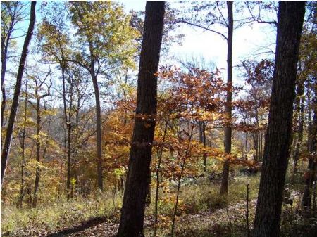 Bank Owned Waterfront Lot : Smithville : DeKalb County : Tennessee