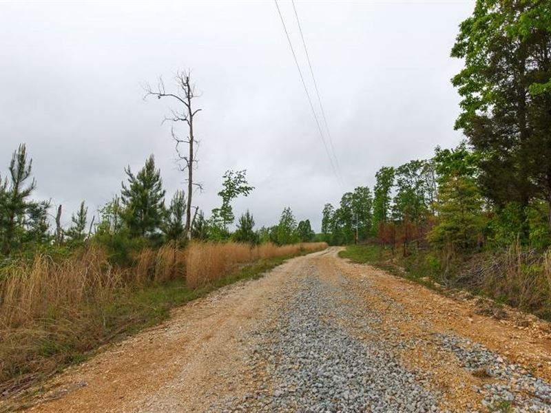 5.99 Acres in Benton County, TN : Holladay : Benton County : Tennessee
