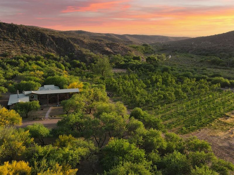 Aravaipa Farms Orchard and Inn, Farm for Sale in Arizona, 279983