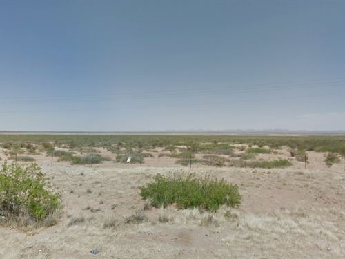 Desert Retreat Luna County NM : Columbus : Luna County : New Mexico